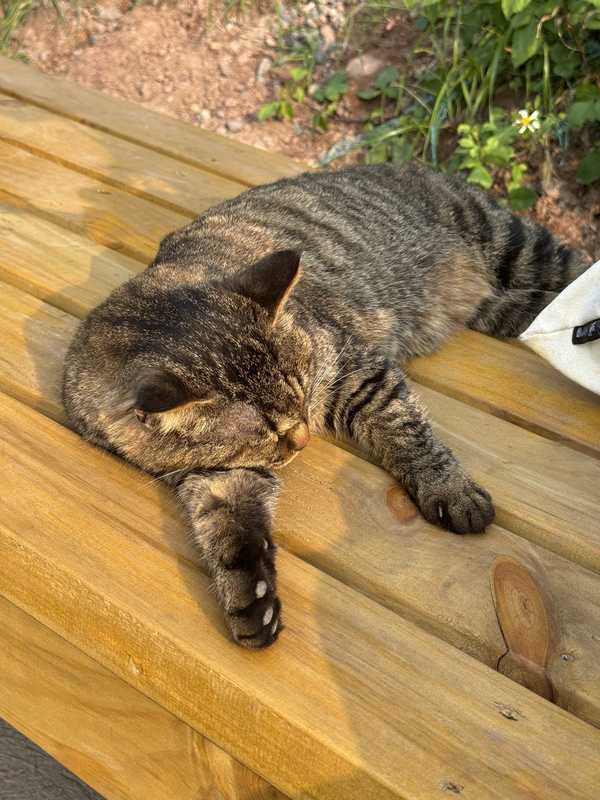 为什么烘干机还没能被国人大范围的接受？