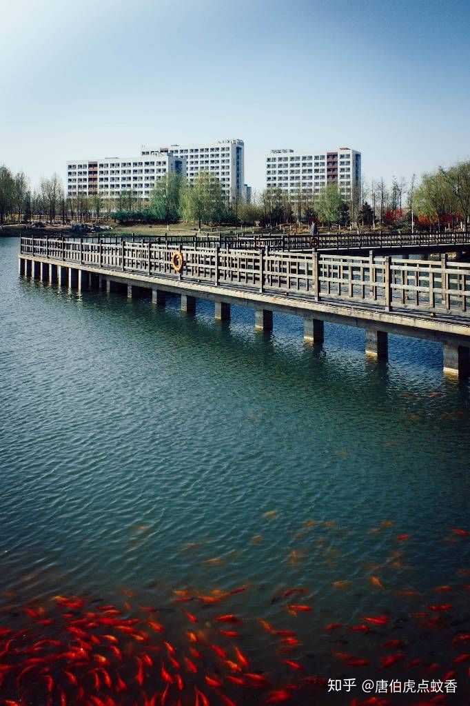 你是怎么考上北理工的?