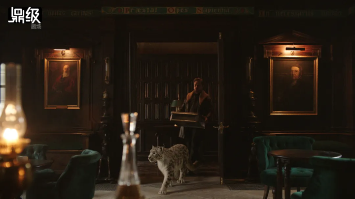 如何评价bbc制作hbo发行的《黑暗物质》第一季?