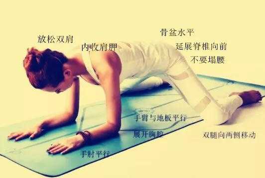 练青蛙趴怎样的计划才有效？