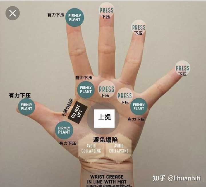 为什么做俯卧撑手掌根部会疼?