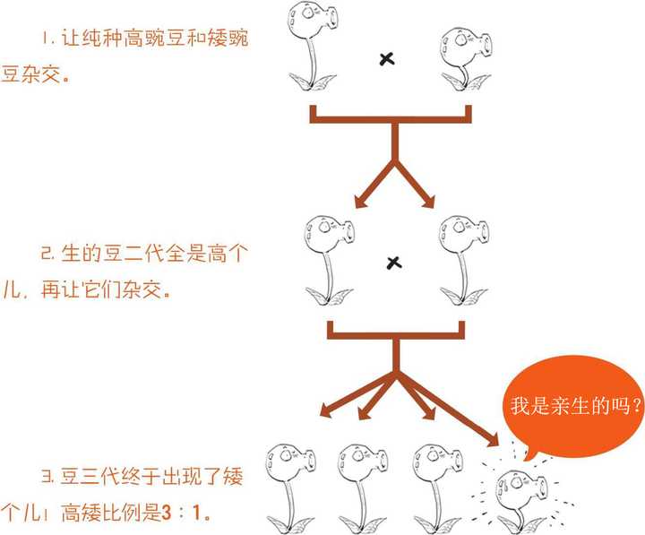 知乎