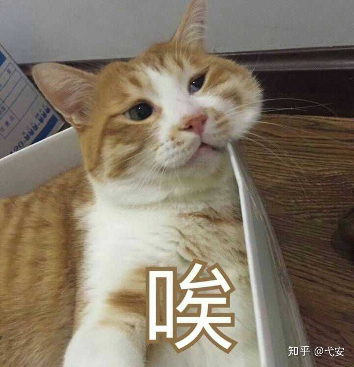 若将中国422 位皇帝放在一个群里 他们会聊些什么 知乎 若将中国422 位皇帝放在一个群里 他们会聊些什么 知乎