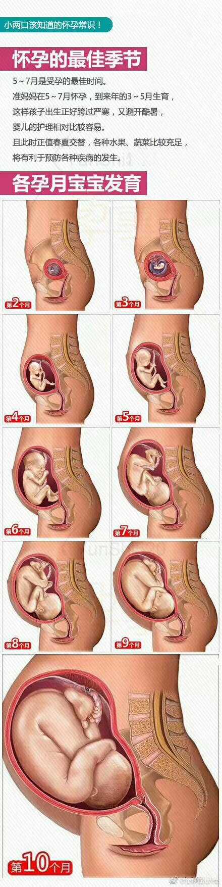 女人几月怀孕最好 知乎 女人几月怀孕最好 知乎