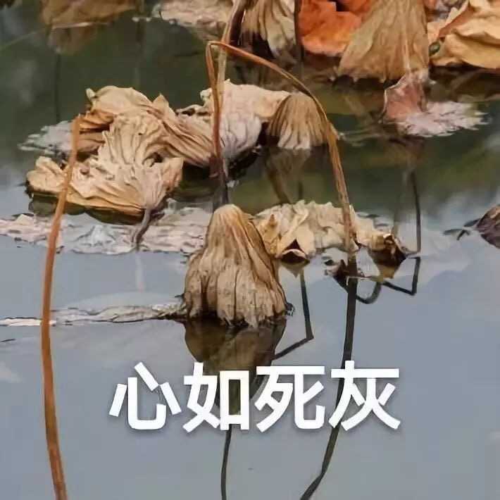 有哪些负能量的表情包