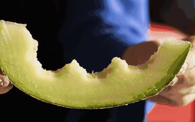 人赞同了该回答 瓜的种类成百上千,在黄瓜,丝瓜,冬瓜,南瓜,西瓜,呆瓜