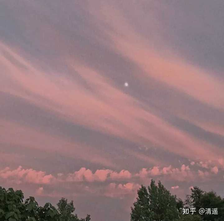 有哪些让你怦然心动的情话?