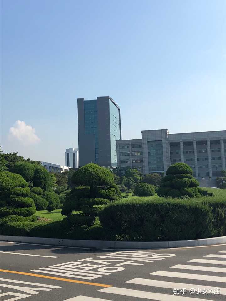 在仁荷大学做交换生是一种怎样的体验 知乎 在仁荷大学做交换生是一种怎样的体验 知乎