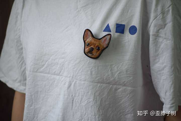 宠物的骨灰放在家里合适吗 家中的猫猫己经很老了 在考虑日后它的身后事 不想把它葬在外面 知乎 宠物的骨灰放在家里合适吗 家中的猫猫己经很老了 在考虑日后它的身后事 不想把它葬在外面 知乎