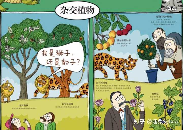 哪些绘本能够帮助孩子了解植物 知乎