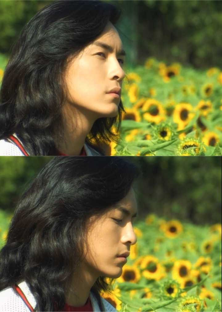 郑元畅的葵或者直树时期有哪些特别特别好看的照片?