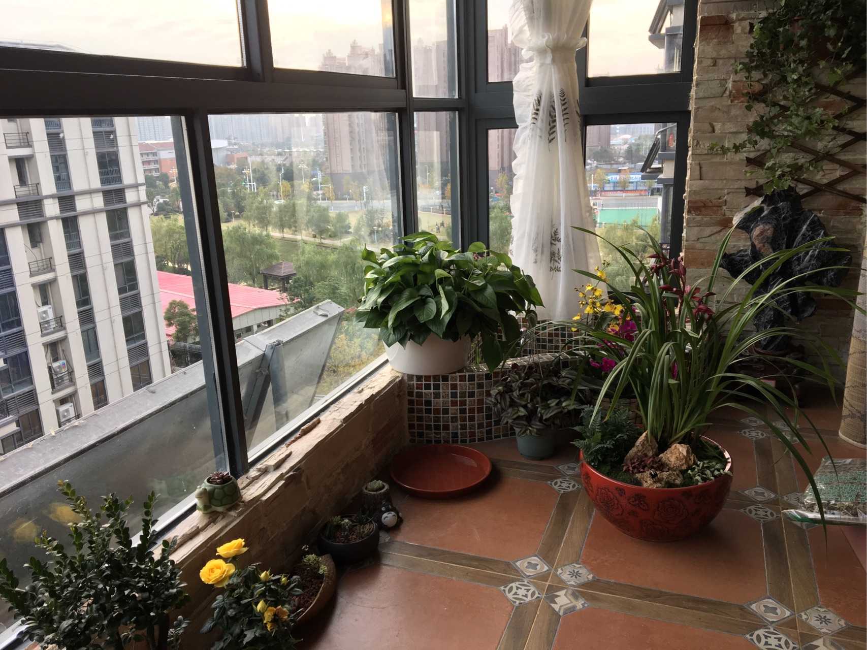 我家一角# 阳台要有花有鱼池