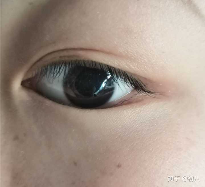 睫毛掉了还会再长吗?