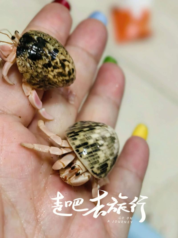 小学生想利用假期去「摆摊」，你会支持吗？