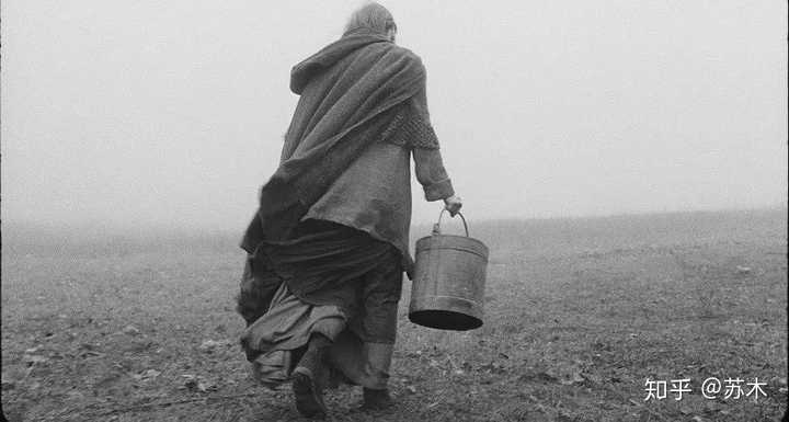 来说说疫情期间待在家里你看了什么电影 电视剧 知乎