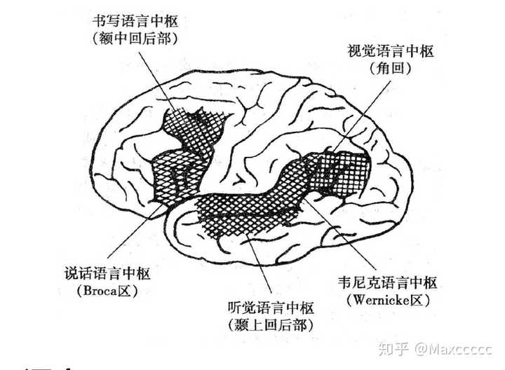 有一个中风亲人是什么体验 知乎