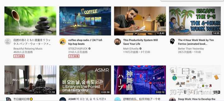 有没有油管youtube 博主推荐各种类型都行 知乎