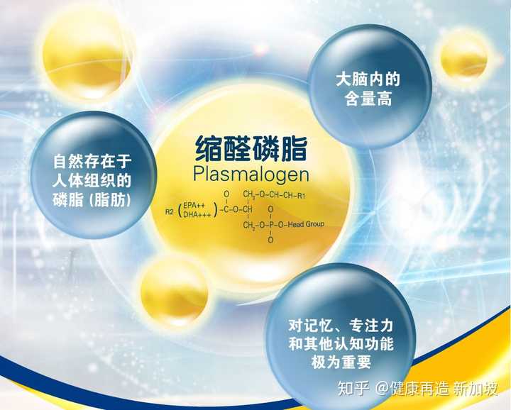 日本的缩醛磷脂plasmalogen保健品有用吗 有副作用吗 扇贝缩醛磷脂的功效与作用 双偶网