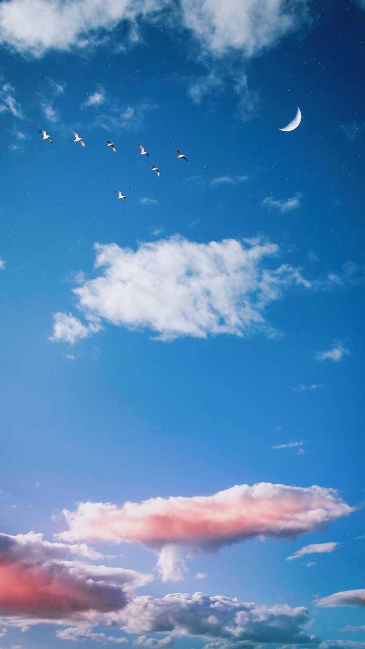 什么手机壁纸app最好用 知乎 什么手机壁纸app最好用 知乎