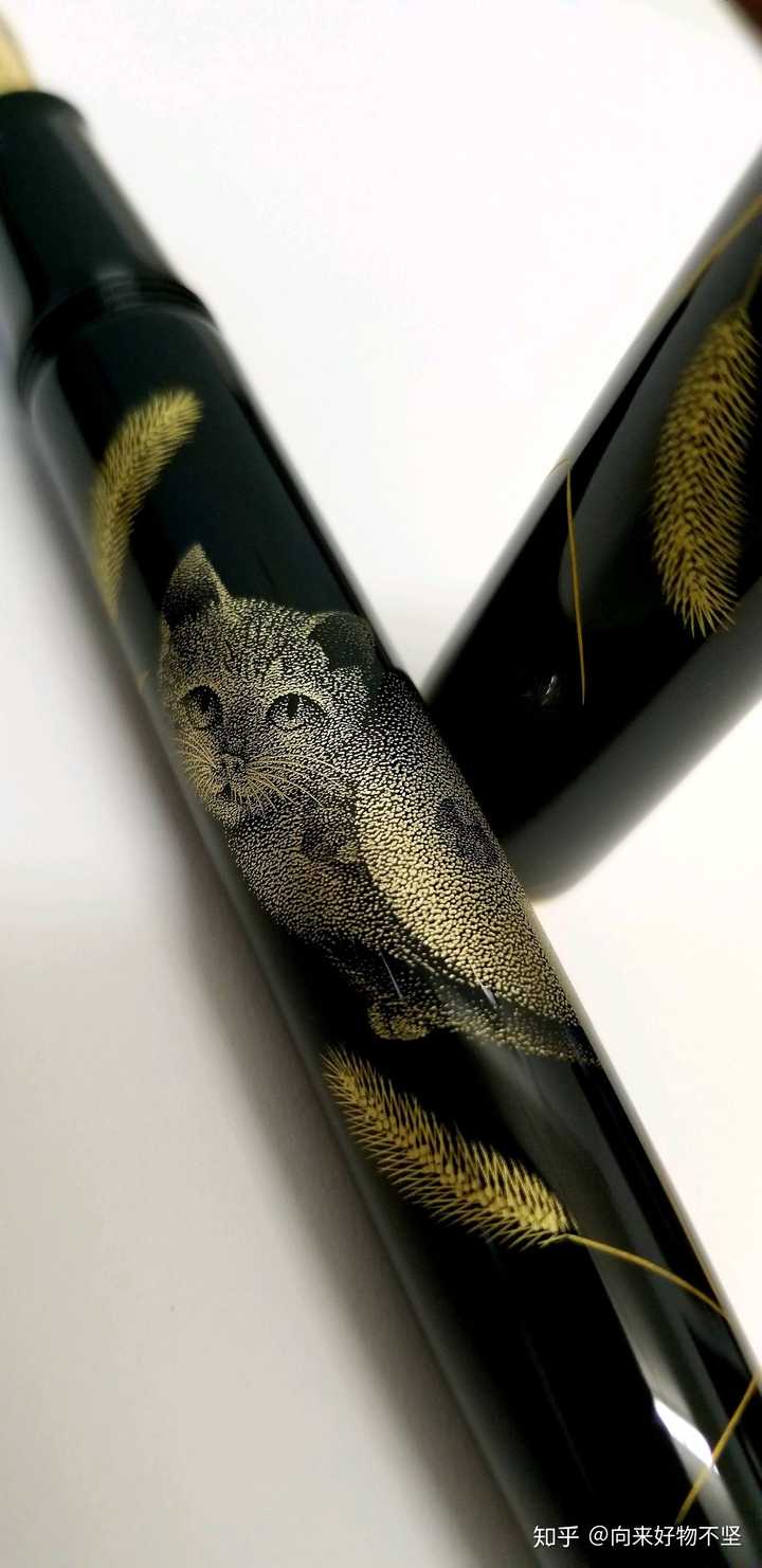 namiki沉金猫.图源贴吧@对影成双