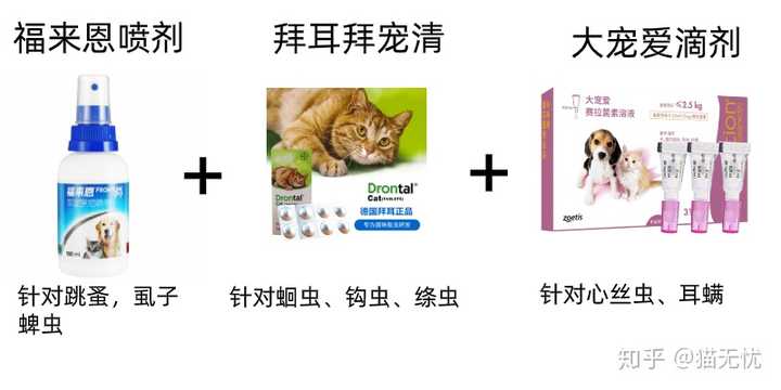 猫咪体内外驱虫多久一次 为什么 知乎