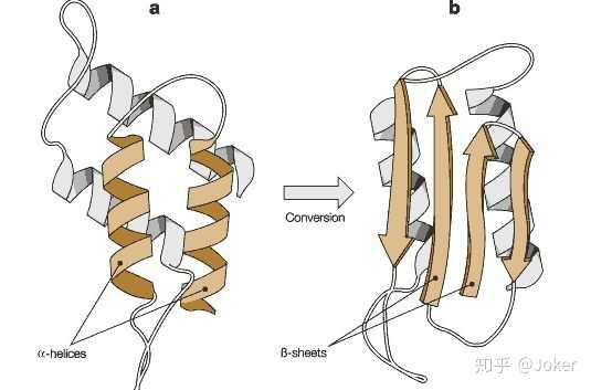 病毒,他的致病机理可以理解为将正常的prp蛋白质同化为prpsc致病蛋白