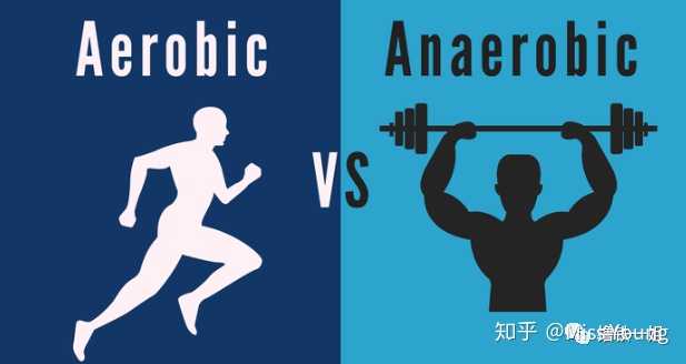 有氧运动和无氧运动有哪些区别 知乎