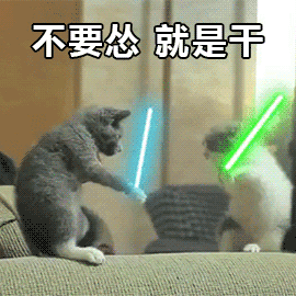 如何让两只猫和平相处？ - 高级铲屎专员的回答- 知乎