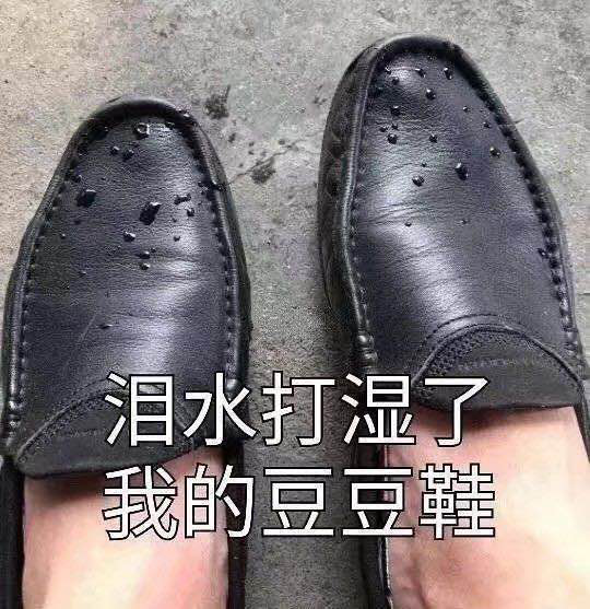 有没有让人笑到头掉的沙雕文案?