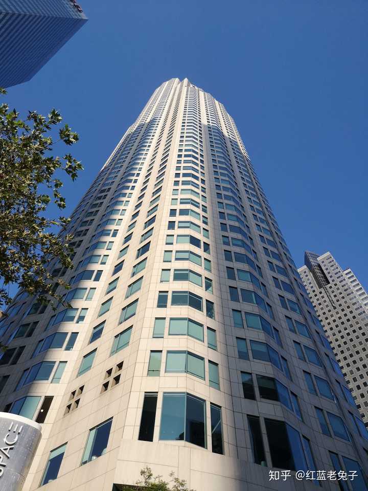 花园银行,gta粉的天堂    曾经无数次从这里跳下来过?