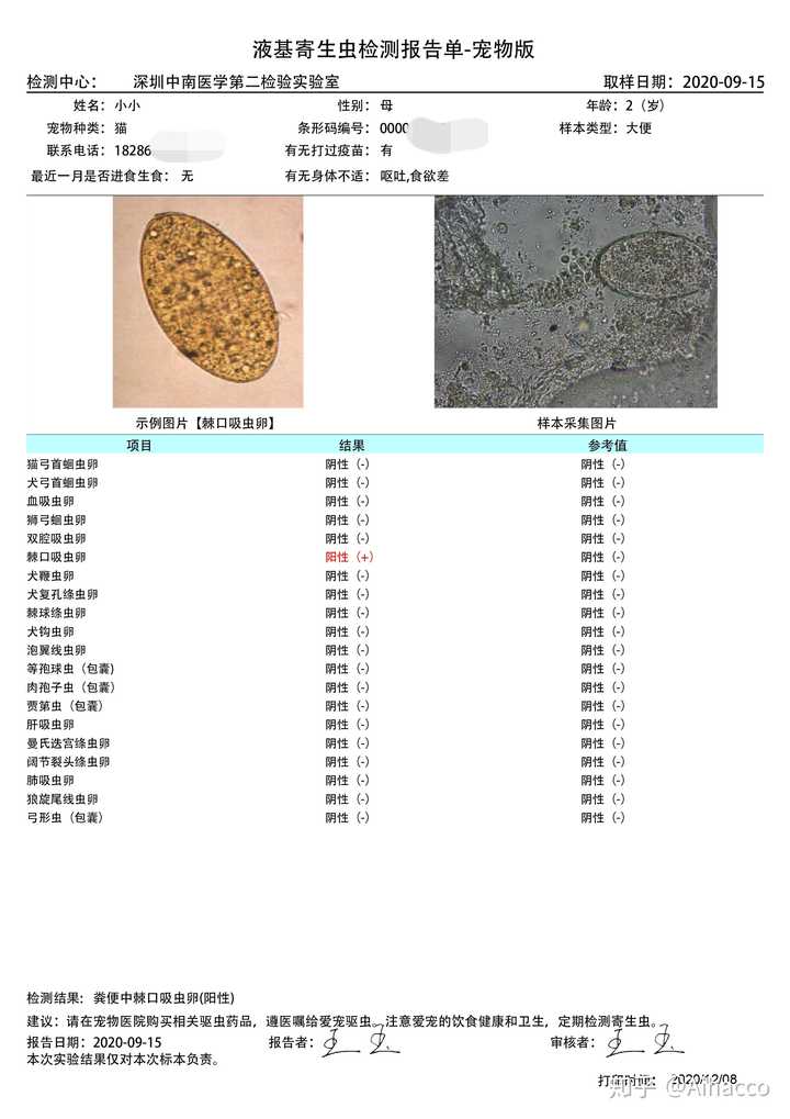 猫的寄生虫会传染人吗 知乎 猫的寄生虫会传染人吗 知乎