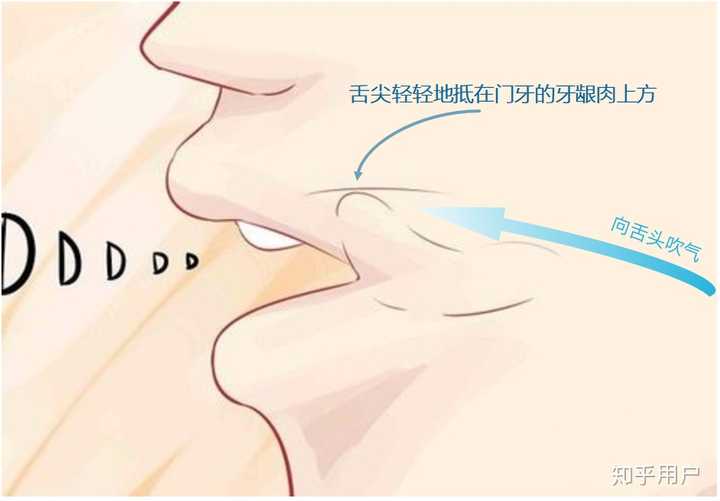 西班牙语r 和rr 到底怎么发音 知乎