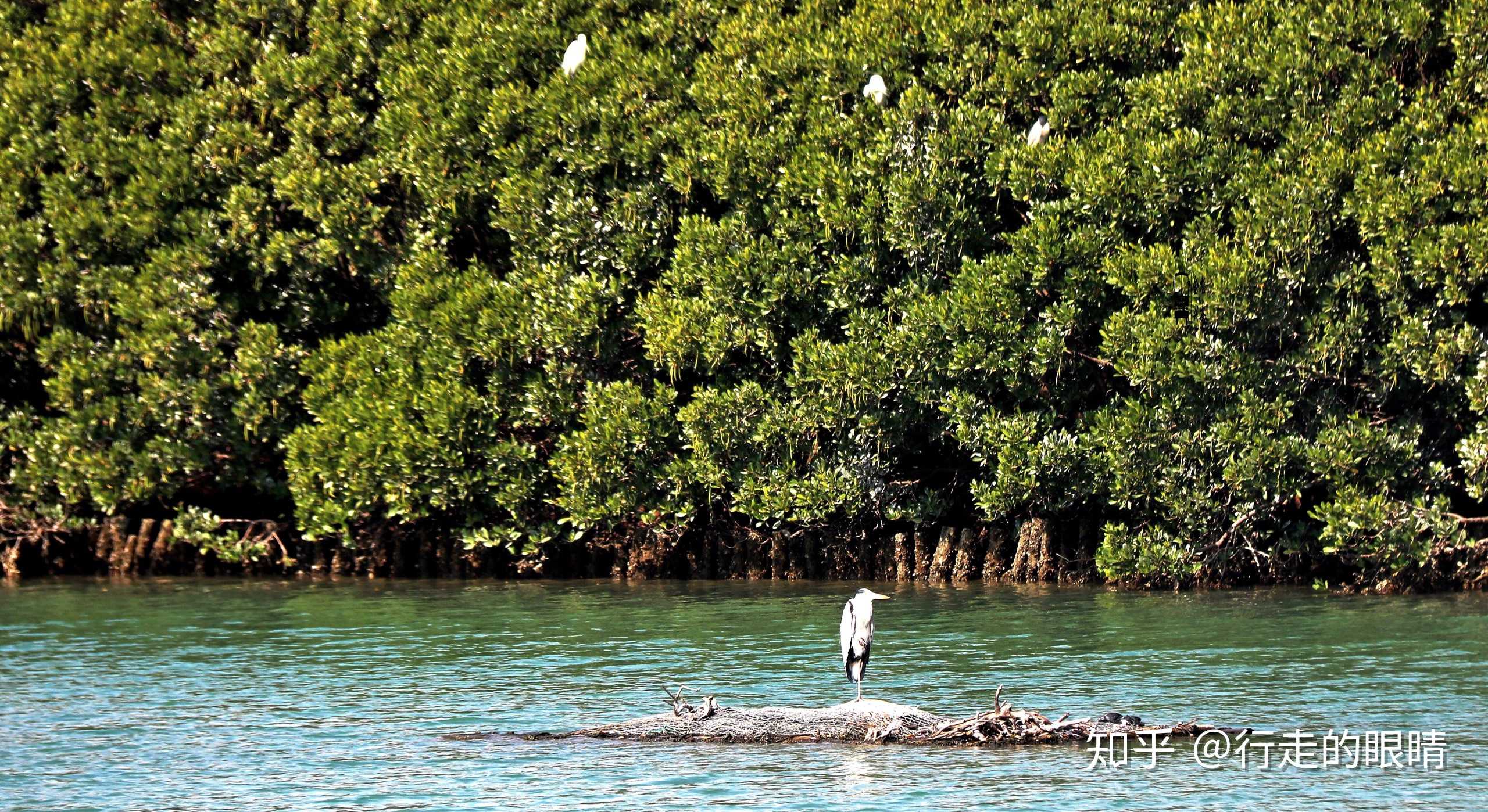 鹤汀凫渚 穷岛屿之萦回?