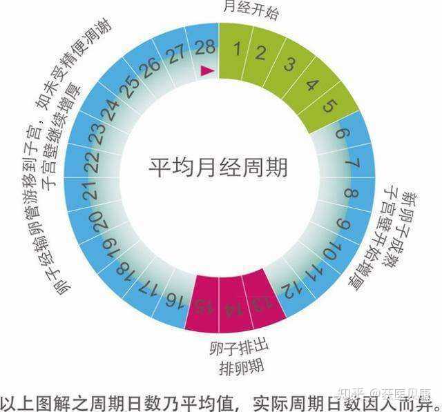 月经过后几天之内是安全期? - 知乎