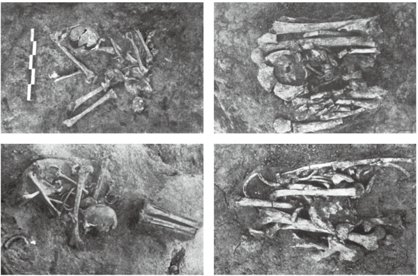 现在的生态葬、海葬、树葬越来越多，还有哪些奇特的丧葬方式？
