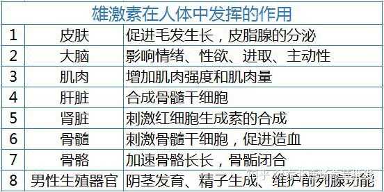 雄性激素又称为男性激素,主要有睾丸提供!