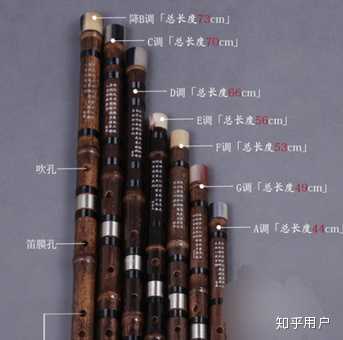 零基础怎样学竹笛,求大神指教~_~? - 知乎