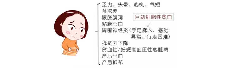 孕妇贫血吃什么可以补血呢 知乎 孕妇贫血吃什么可以补血呢 知乎