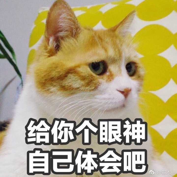 不能有的话,凑合事吧.还要啥自行车?