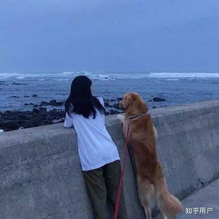 你有什么一眼就惊艳的文案?