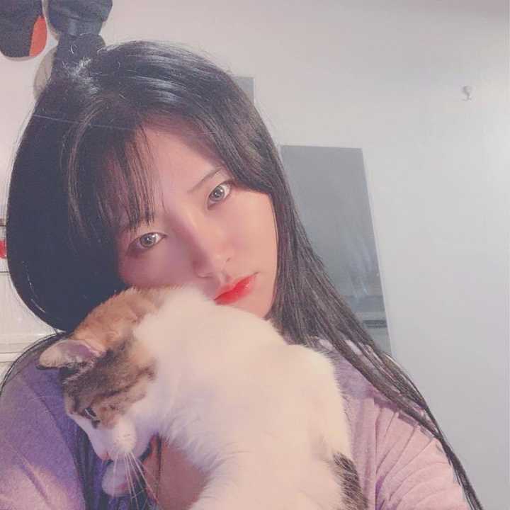 如何评价韩国歌手leebada?