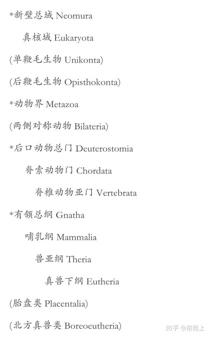 动物分类学 动物分类表 动物分类树状图