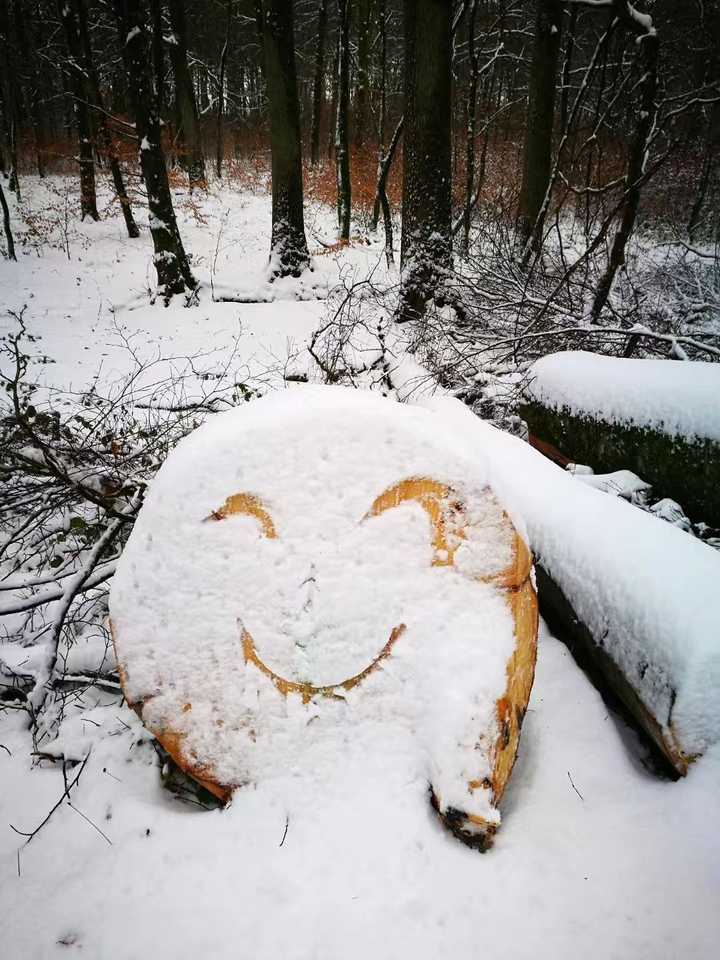 有什么留学生活中发生的有趣的事情吗?