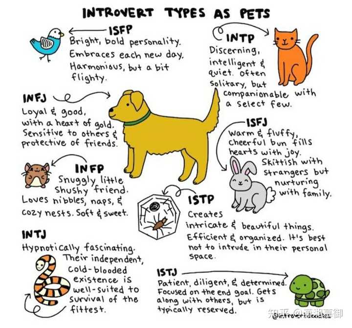 Mbti 九型的各位把自己形象化为动物 你们觉得自己是哪种动物 潇湘慕御的回答 知乎 Mbti 九型的各位把自己形象化为动物 你们觉得自己是哪种动物 潇湘慕御的回答 知乎