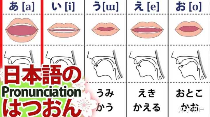 日语ae あえ 和ai あい 的连读有什么区别 知乎