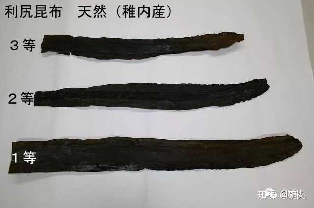 昆布和海带是一个东西吗 知乎