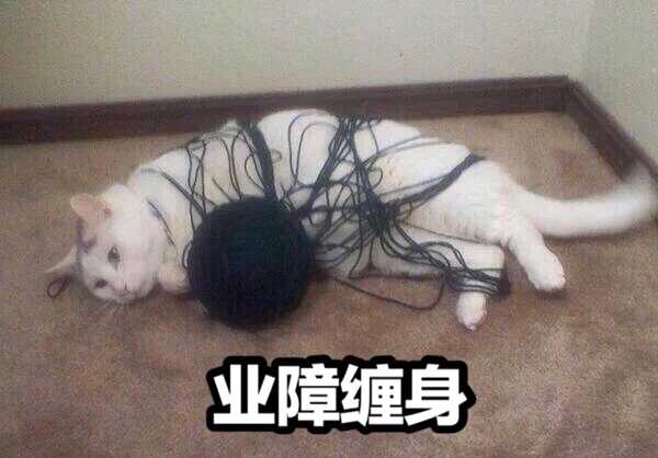 如何评价 原神 1 3 魈的强度 知乎 如何评价 原神 1 3 魈的强度 知乎