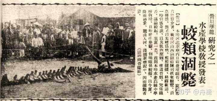 1934年营口坠龙真相是什么 知乎