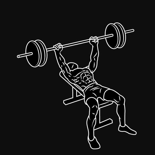 瘦子怎么练胸肌腹肌?