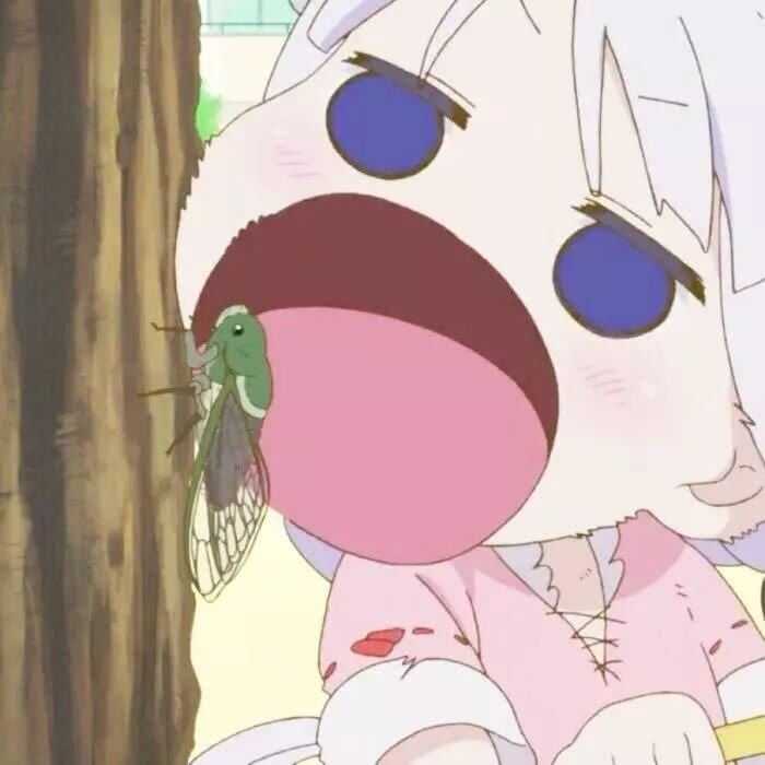 有哪些女生用的微信超级可爱的头像?